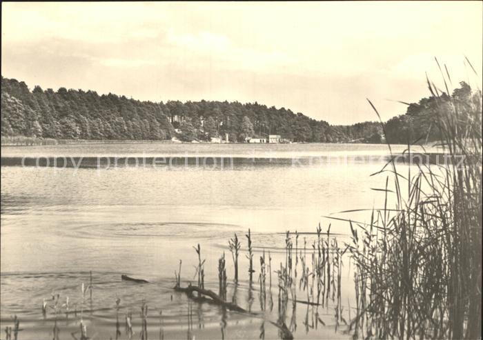 Strelitz-Alt Altstrelitz Domjuechsee