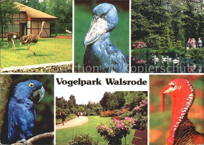 Walsrode Lueneburger Heide Vogelpark