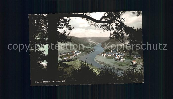 Bullay Mosel Moseltal
