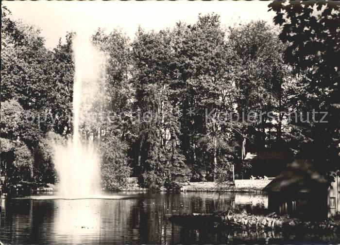 Schlettau Erzgebirge Teich mit Fontaine