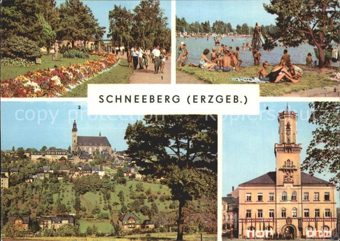 Schneeberg Erzgebirge Promenade Filzteich Kirche Rathaus