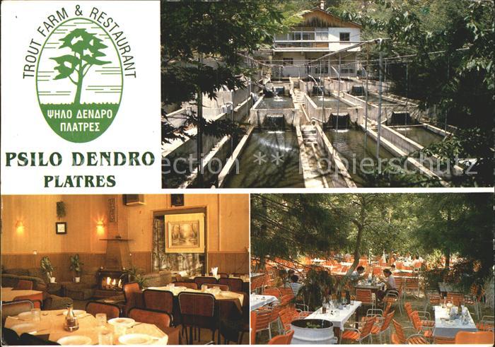 Zypern Cyprus Trout Farm und Restaurant Psilo Dendro