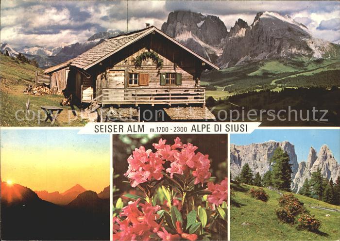 Dolomiten Seiser Alm Schlerngebiet Felsmassiv Alpenflora