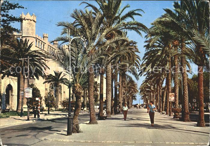 Palma de Mallorca Paseo de Sagrera