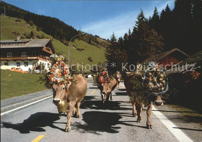 Gerlos Almabtrieb