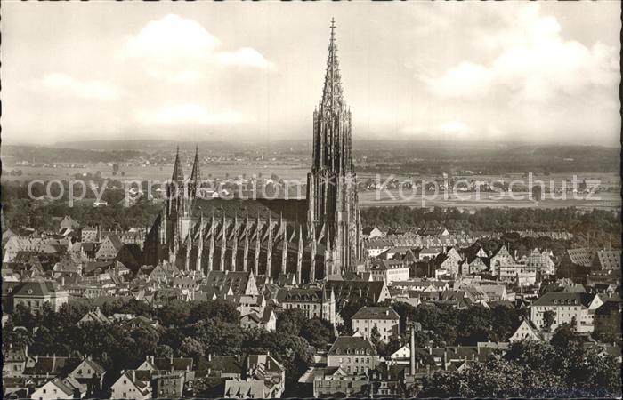Ulm Donau Panorama mit Muenster