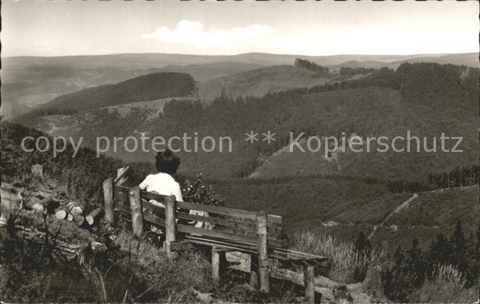 Bad Sachsa Harz Blick vom Ravensberg