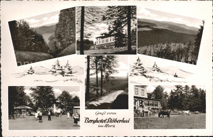 Walkenried Berghotel Stoeberhai Park Panorama Reiten