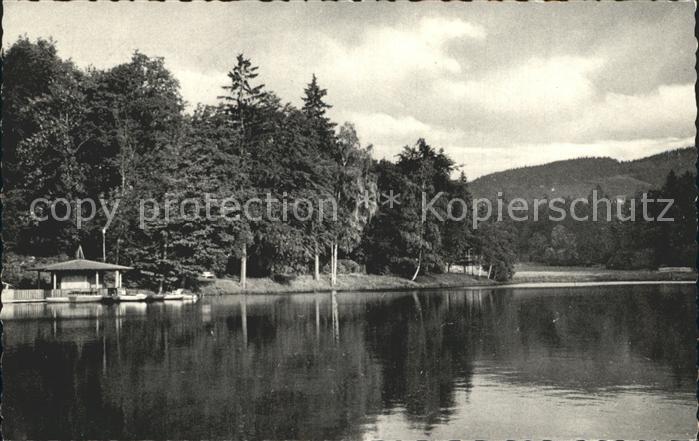 Bad Sachsa Harz Schmelzteich mit Katzenstein