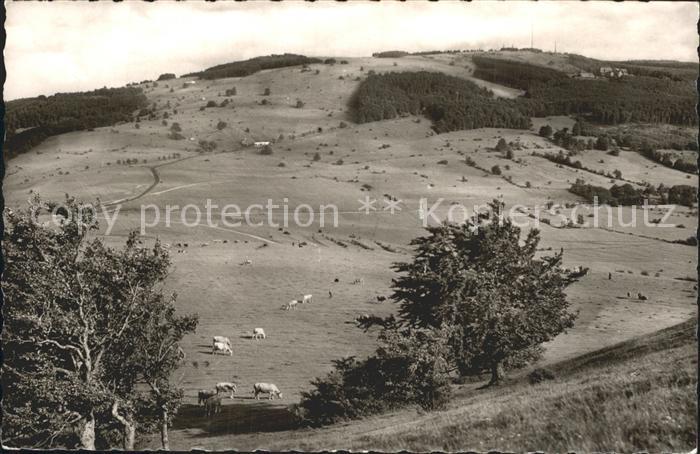 Rhoen Region Kreuzberg Panorama