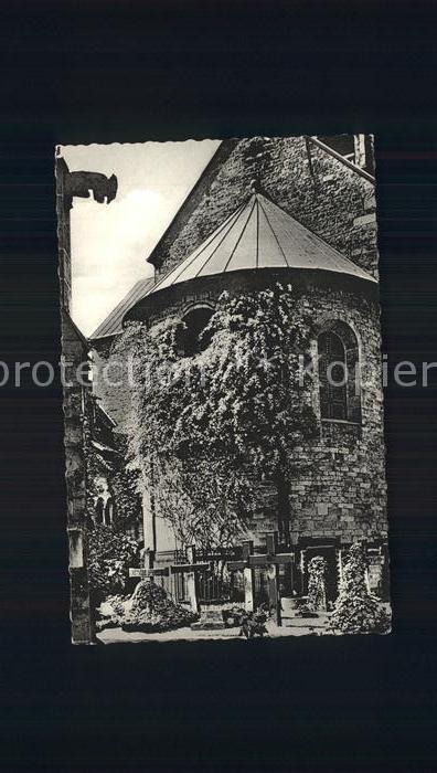 HILDESHEIM  CITY 1000jaehriger Rosenstock am Dom