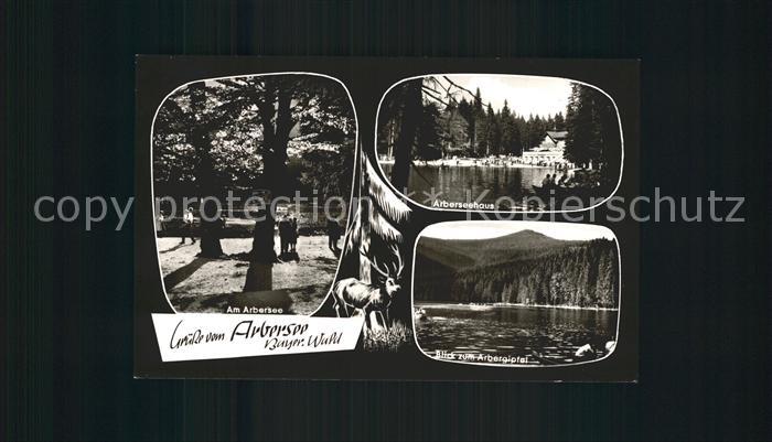 Arbersee Arberseehaus Arbergipfel