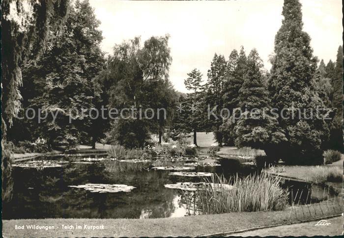 Bad Wildungen Teich im Kurpark
