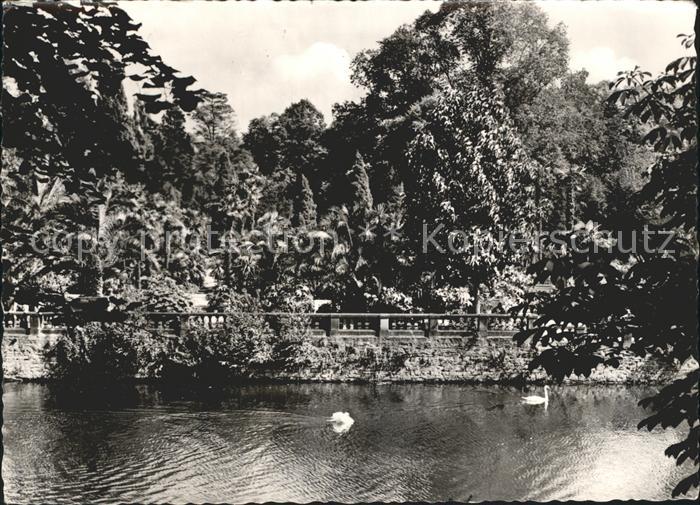 Bad Pyrmont Schwanenteich im Kurpark