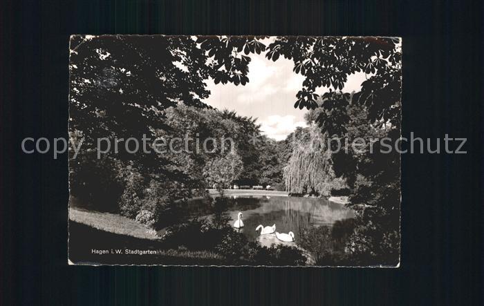 Hagen Westfalen Stadtgarten Schwanenteich
