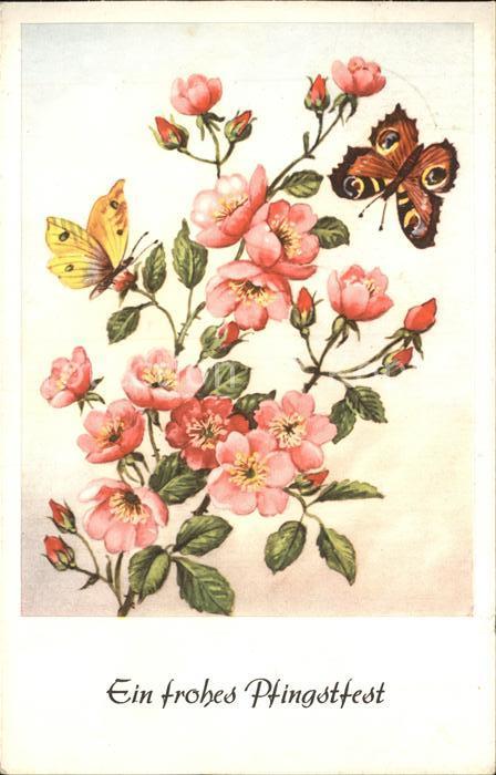 Schmetterlinge Blumen Pfingsten
