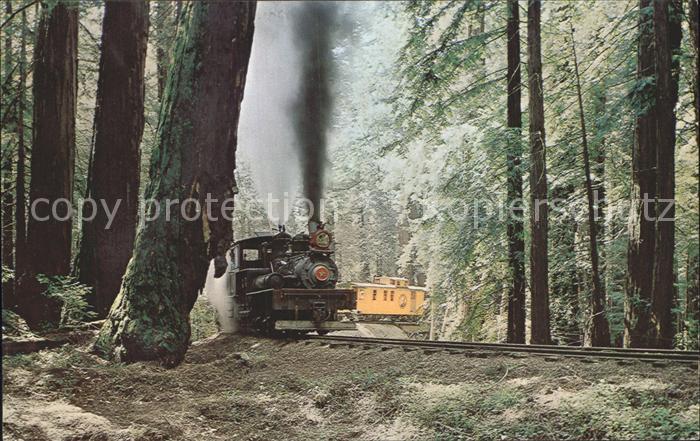 Lokomotive Redwoods Roaring Camp and Big Trees Narrow-Gauge Railroad