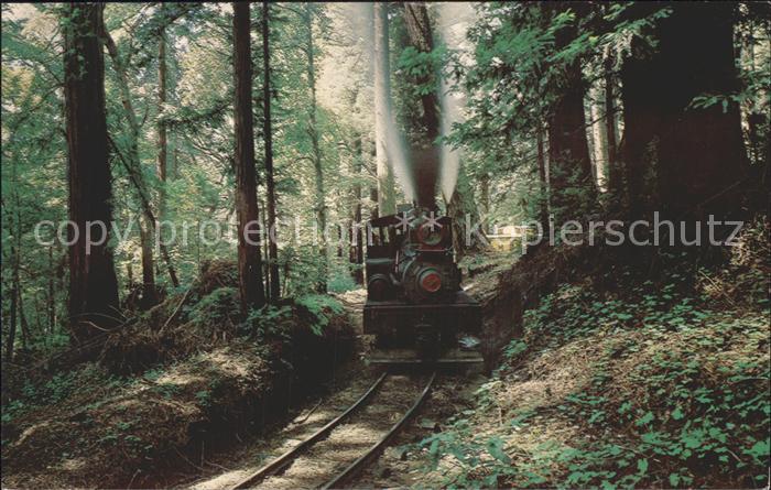 Lokomotive Dixiana Shay Santa Cruz Mountains Roaring Camp and Big Trees Narrow-G