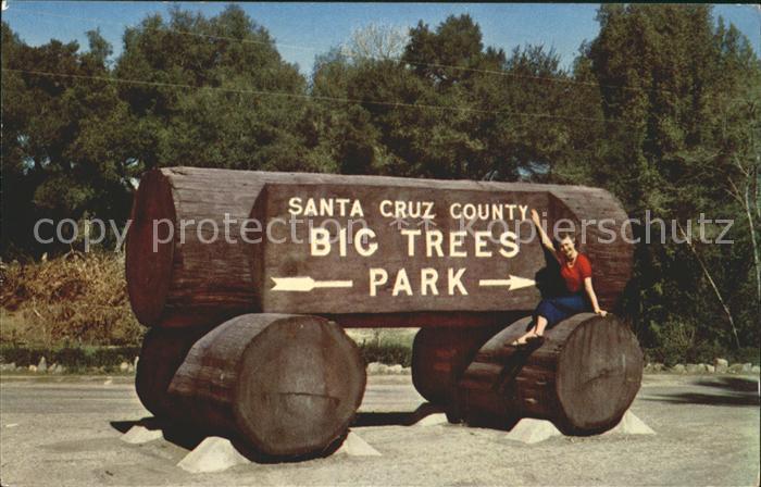 Baeume Trees Big Trees Park Santa Cruz County Califo