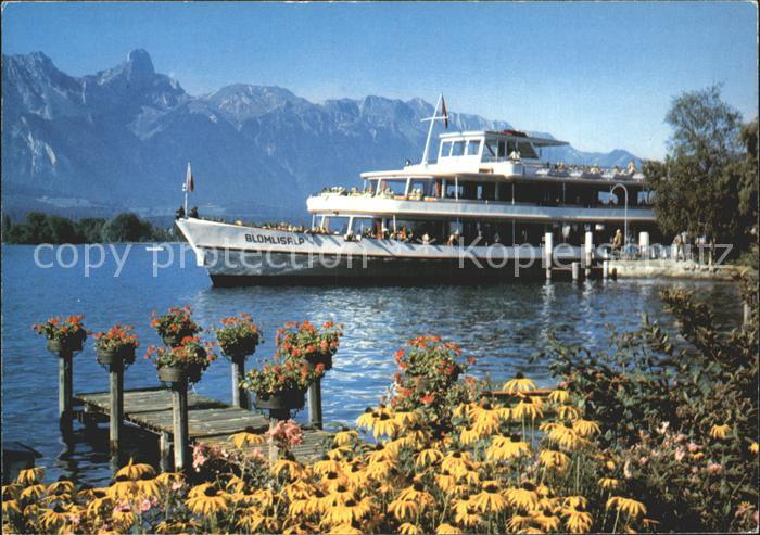 Motorschiffe Bluemlisap Thunersee Stockhorn