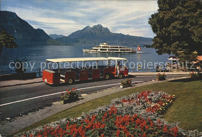 Autobus Omnibus Lido-Bus Weggis Pilatus