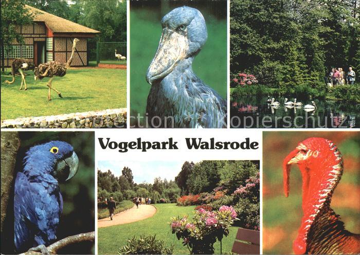 Voegel Birds Oiseaux Uccelli Pajaros-- Vogelpark Walsrode Papagei Strauss