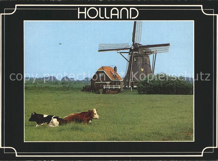 Windmuehle Kuehe Bauernhof Holland