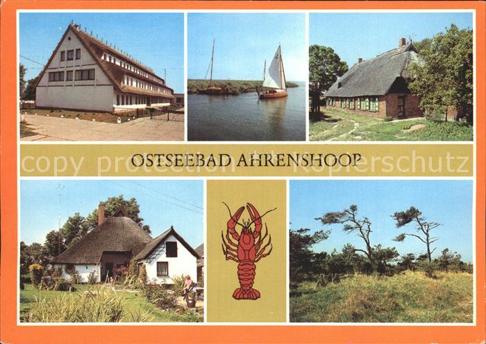 Ahrenshoop Ostseebad Orteile Niehagen Althage Windfluechter