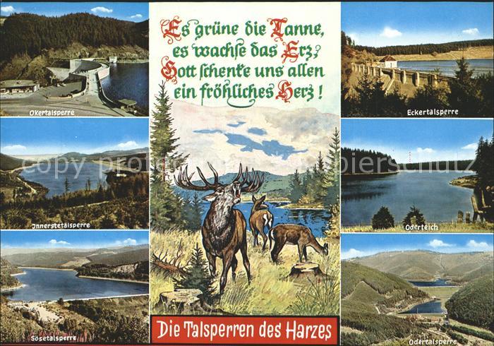 Harz Region Talsperren Eckertal Oderteich Odertal Innerstetal Okertal