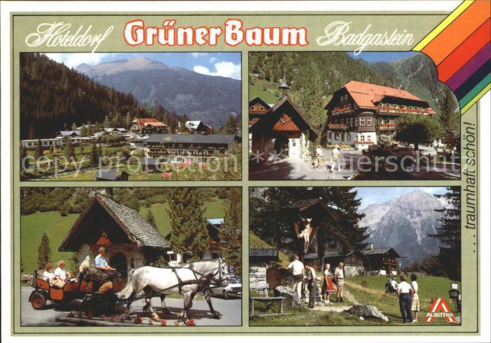 Bad Gastein Hoteldorf Gruener Baum