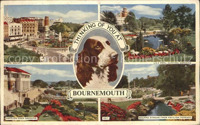 Bournemouth Square Pavilion Rock Gardens Central Gardens