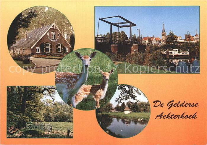 Achterhoek Gelderland Rehe Boot