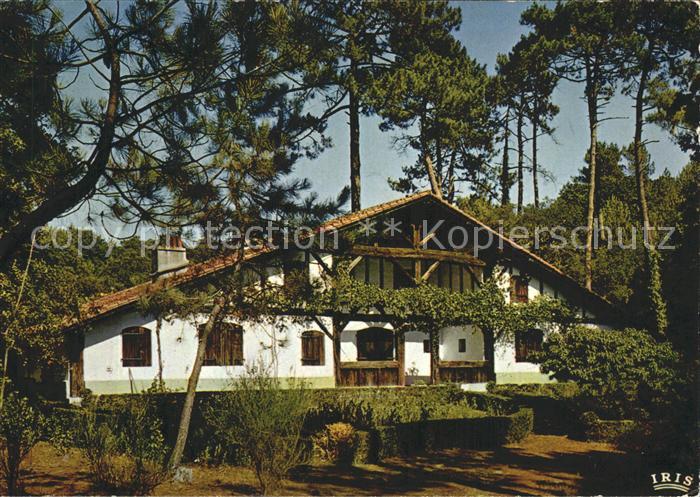 Landes Villa dans les pins