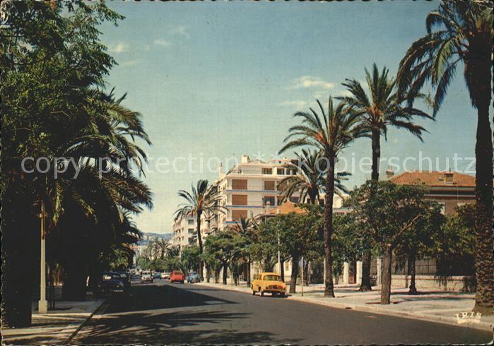 Hyeres les Palmiers Avenue Gambetta