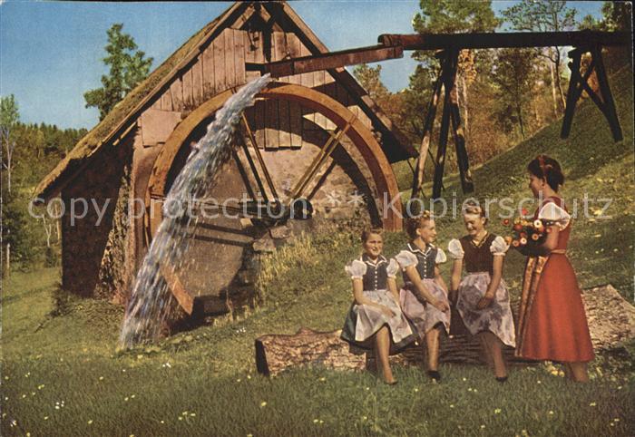 Wassermuehle Schwarzwaelder Tal