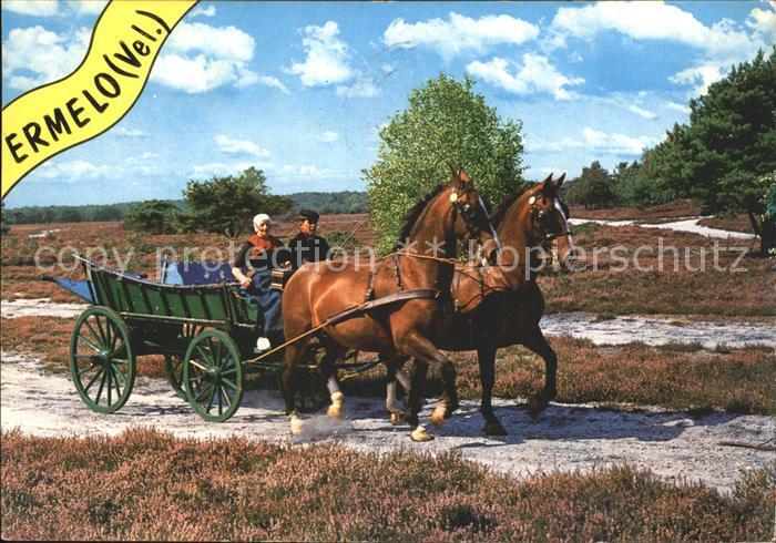 Pferdekutschen Ermelo