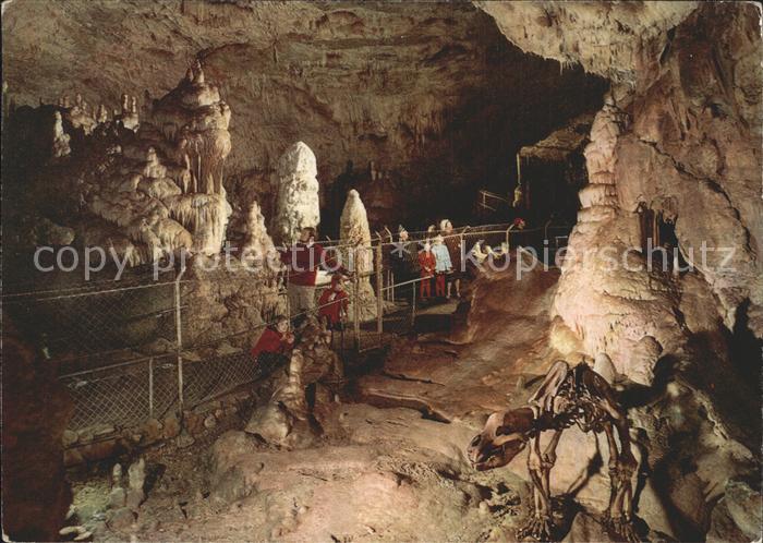 Hoehlen Caves Grottes Bärenhöhle-Karlshöhle Erpfingen
