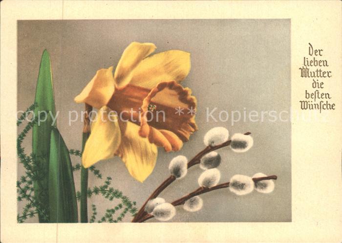 Muttertag Narzisse Weidenkaetzchen