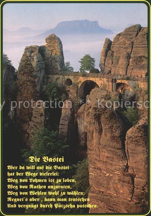 Bruecken Bridges Ponts Bastei Saechsische Schweiz