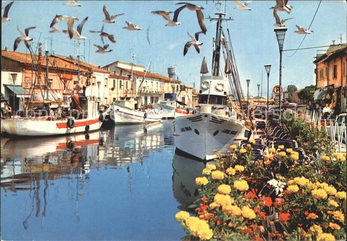 Cesenatico Hafen Moewe