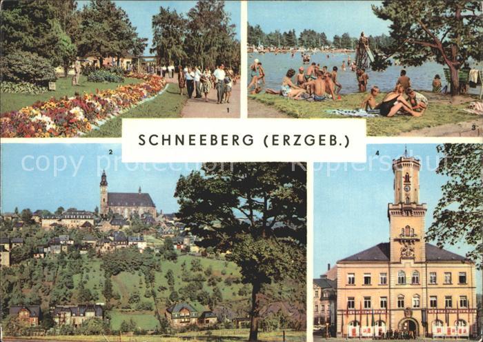 Schneeberg Erzgebirge Promenade Kirche Filzteich Rathaus