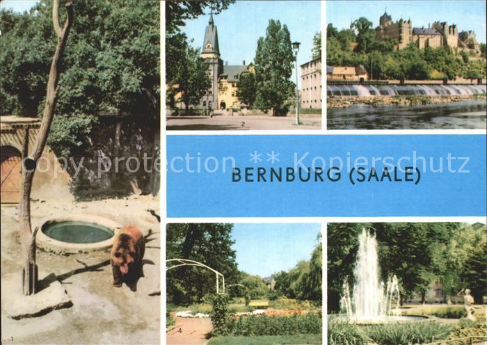 Bernburg Saale Baerenzwinger Schloss Kurhaus Rosengarten Marx Engels Platz
