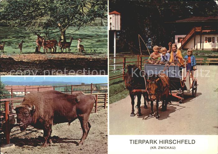 Hirschfeld Zwickau Tierpark Hirschfeld Damwildgehege Wisent Tip Pony Rundfahrt