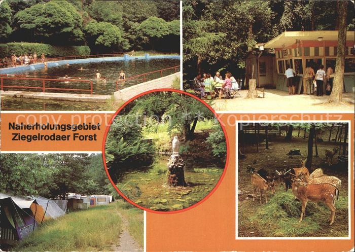 Ziegelroda Waldbad Jaegerhuette Campingplatz Heimat Tierpark Klapperborn mit Uhu