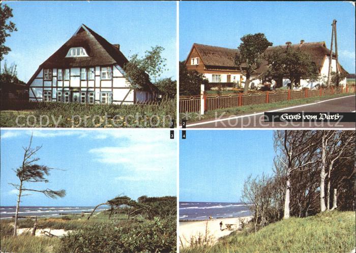 Wieck Darss Inselhaeuser Born Weststrandpartien