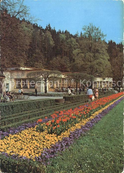 Bad Elster Am Badecafe