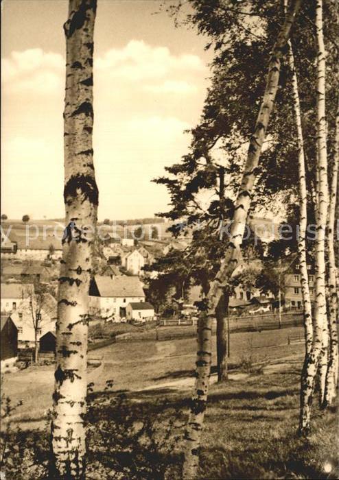 Hallbach Teilansicht Birken