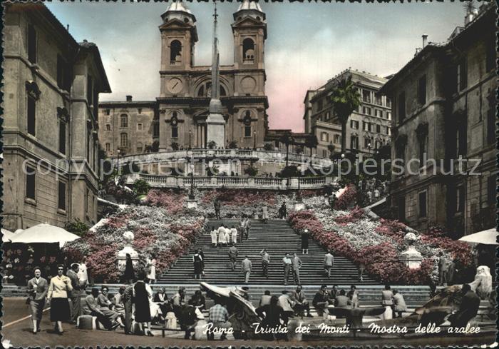 Roma Rom Trinita dei Monti Azaleenausstellung