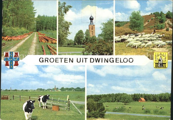 Dwingeloo Kirche Kuehe Schafe