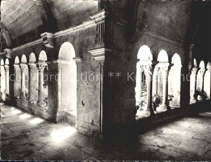 Saint-Remy-de-Provence Interieur du Cloitre Saint-Paul